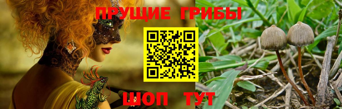 Галлюциногенные грибы GOLDEN TEACHER Янаул